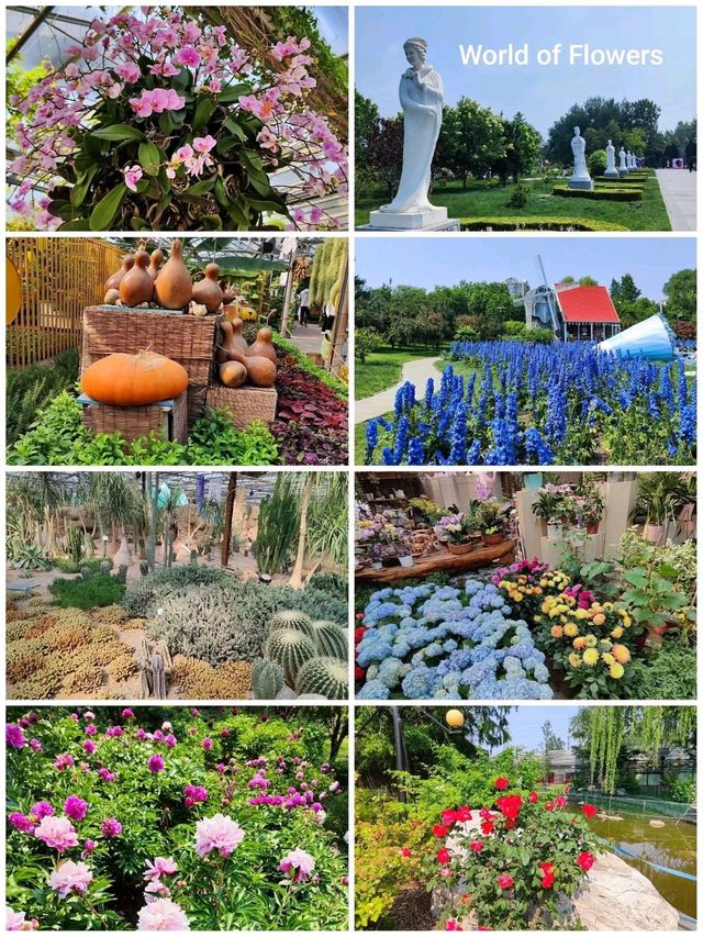 Amazing collections of flowers @ Beijing Garden of World's Flowers