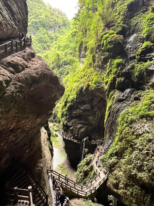 ✨4D3N Chongqing Itinerary: Pandas, Spicy Eats & Karst Adventures