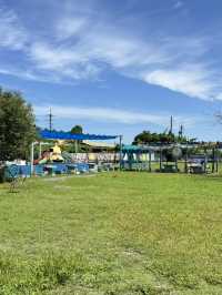 臺灣屏東🌳【這裡是毛小孩的遊樂園，也是爸媽的美食基地！】