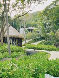 รีวิวที่พัก Beach Club Haadtian ติดหาด Shark bay! 