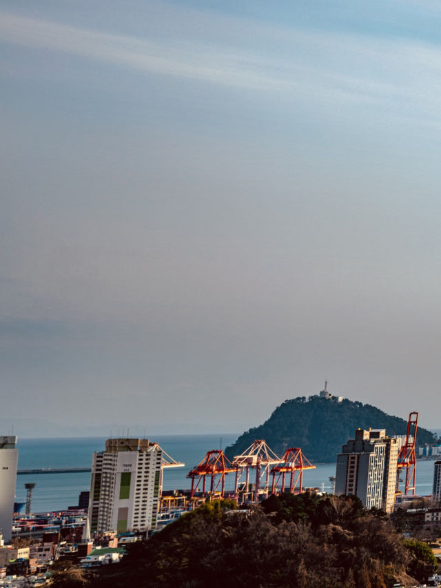 Uam-dong Urban Forest, Busan: A Tranquil Green Escape with Harbor Views