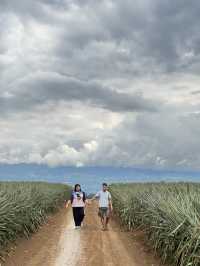 4D3N Bukidnon Trip