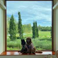 🍃🪵 ที่พักเขาใหญ่บนเนินเขา Pet friendly