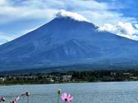 Fufu Kawaguchiko: A Luxurious Retreat with Mt. Fuji Views! 🇯🇵🗻