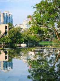 ~ 義合公園~美麗放鬆~