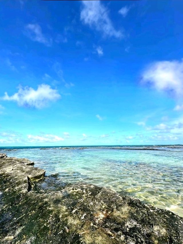 Tiny Paradise: Guyam Island
