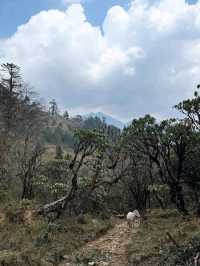 Wandering Phobjikha Valley
