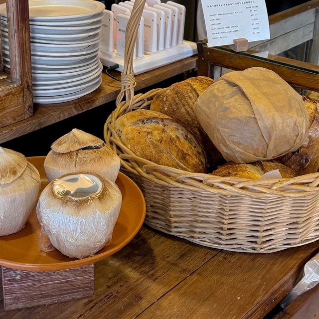 Little Tree Grocery 🥤🥯🍃