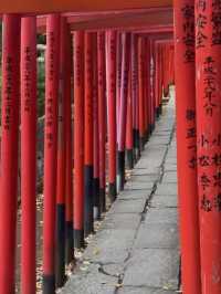 東京 根津神社 ⛩️🌿