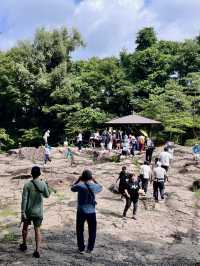 【岩手】自然が織りなす絶景と名物空飛ぶ団子 | 厳美渓