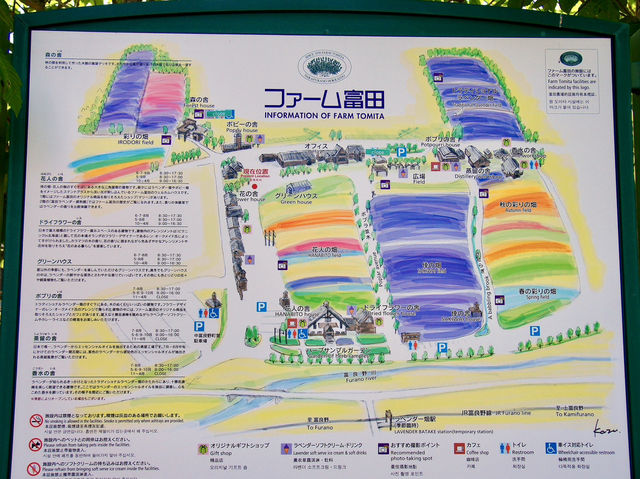 🌸 Lavender Dreams at Farm Tomita