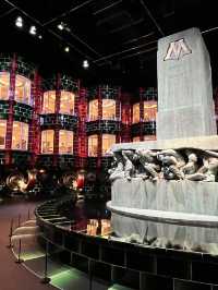 A Spellbinding Day at the Wizarding World – Pure Magic in Tokyo! 