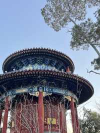 ชมวิวพระราชวังต้องห้าม ที่สวน Jingshan 🌳