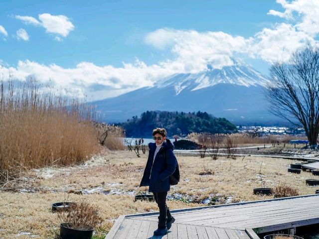 ชมภูเขาไฟฟูจิ Kawaguchiko