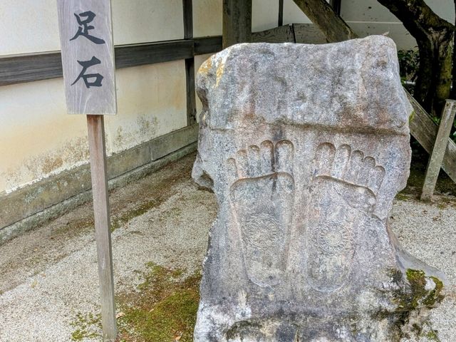 京都 | 方丈庭園，知恩院面向北條的名勝庭園