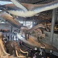 The Shanghai Natural History Museum