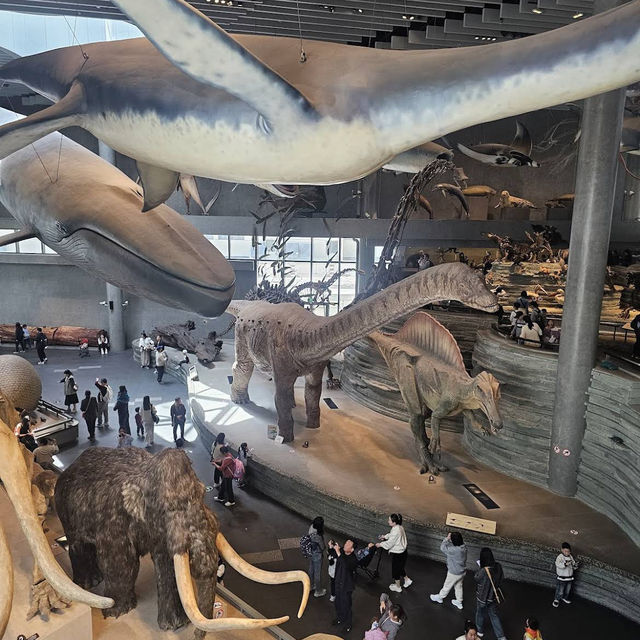 The Shanghai Natural History Museum