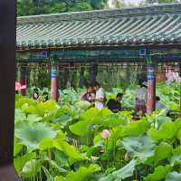ทะเลสาบต้ากวน one day in kunmimg