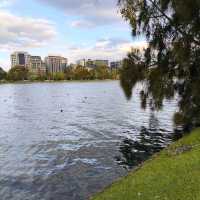 Albert Park Lake