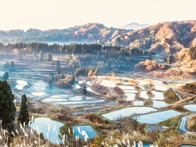 🌊 Solo Escape: Niigata – Japan’s Sea & Sake Capital