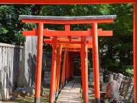 Tunnel of Vermilion Blessings, the Senbon Torii of Otome Inari Shrine