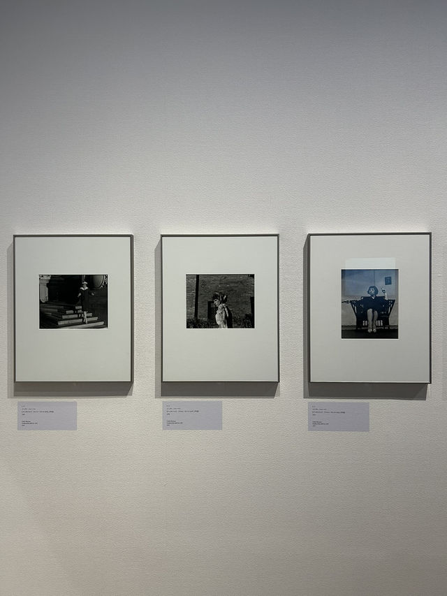 【東京・恵比寿】東京都写真美術館　トランスフィジカル