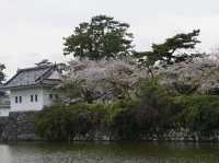 Odawara castle 