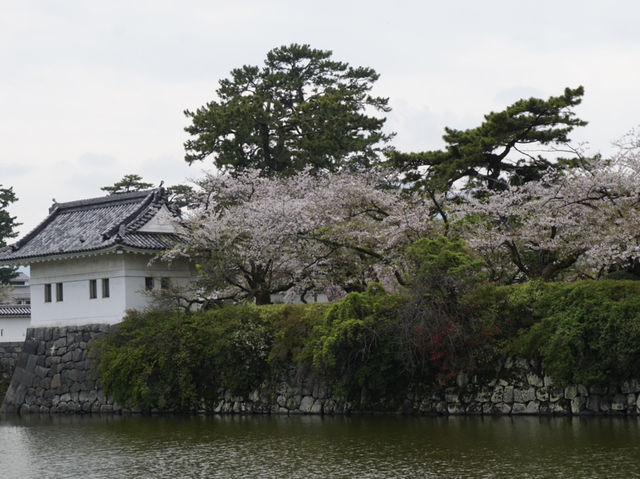 Odawara castle 