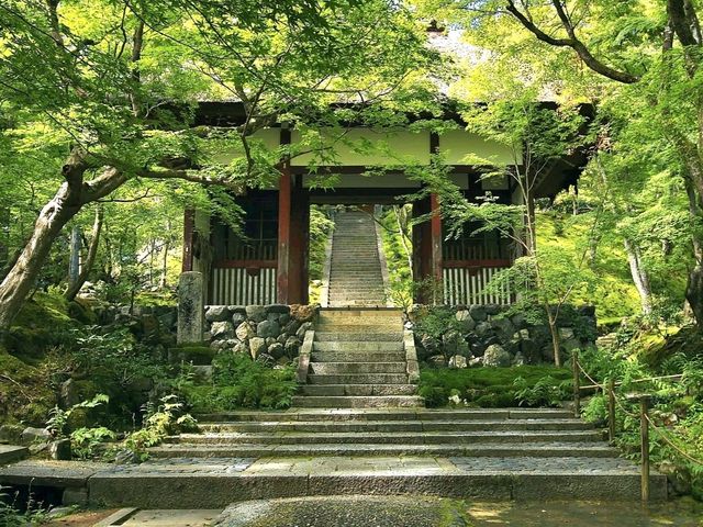 Kyoto’s Quiet Corner: Jojakko-ji Reflections
