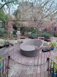 🪴The Beautiful Garden🪴
