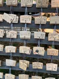 Meiji Jingu: Tokyo’s Peaceful Heartbeat in a Sacred Forest