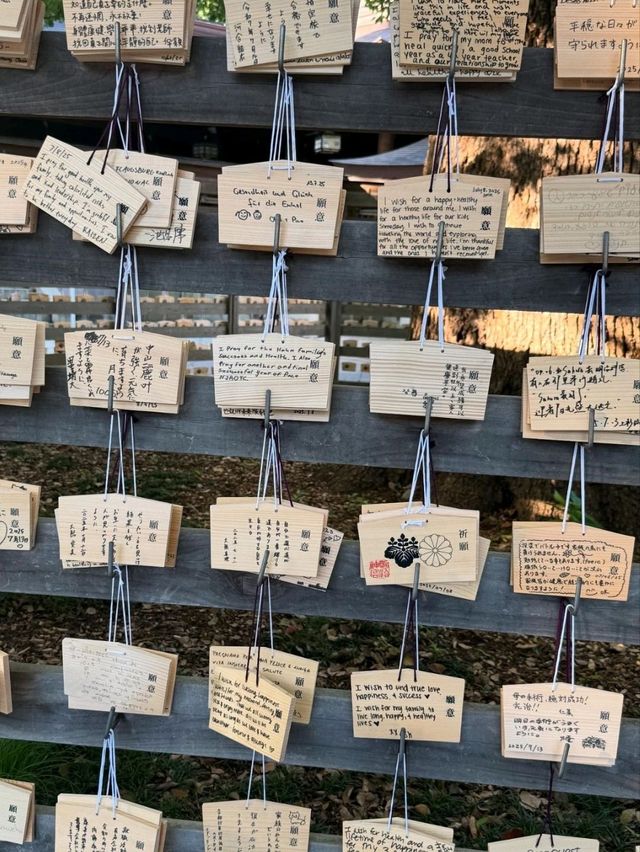 Meiji Jingu: Tokyo’s Peaceful Heartbeat in a Sacred Forest