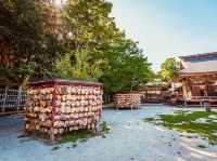 Summer Day at Ōarai Isosaki Shrine: A Breathtaking Oceanfront Escape