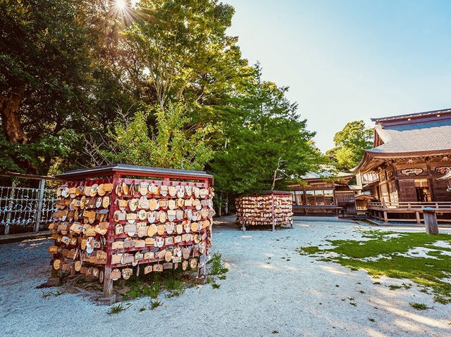 Summer Day at Ōarai Isosaki Shrine: A Breathtaking Oceanfront Escape