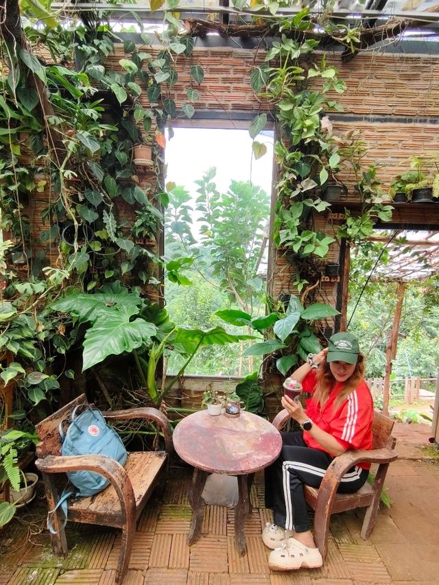 ร้านกาแฟ ,Akipu Coffee 
