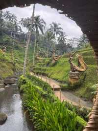 Glass Floors & Flying Foxes—Only at Alas Harum
