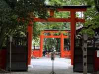 Shimogamo Shrine, Kyoto: An Understated Gem Worth an Early Morning Visit! ⛩️🌿