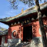 本場の少林寺を見たい人はぜひ！🇨🇳