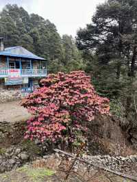 Great route for trekker