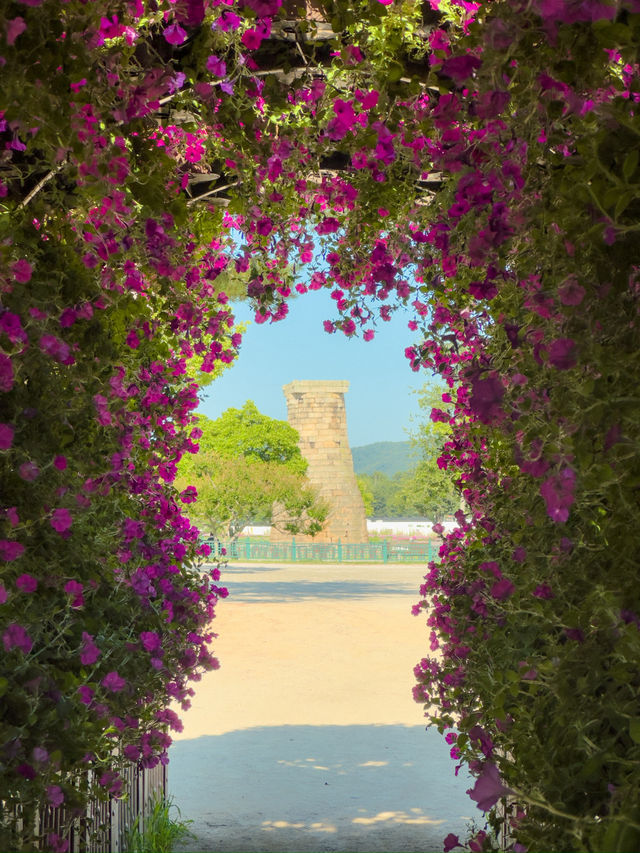 여름 경주 여행코스🌿