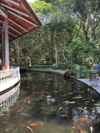 Monkey Forest, Ubud