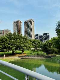🌿城市裡的綠意綠洲：桃園《風禾公園》，親子野餐滑草超chill！