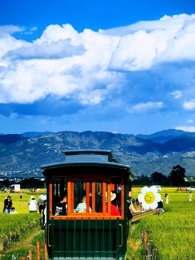 🌾 Golden Wheat Fields + Blue Skies = Your Next Travel Photo Masterpiece in Dali