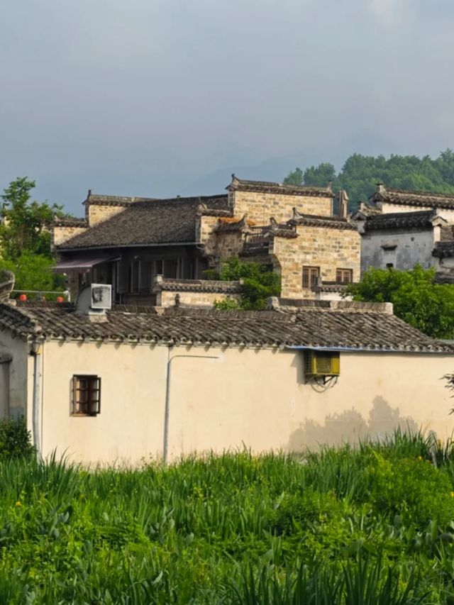 900 Years of Elegance: The Legacy of Hongcun Village