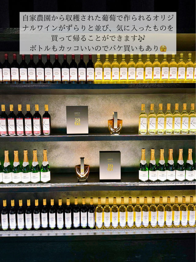 🍇ワイン好きな人集合！日本にある南フランス in 甲府市🍇