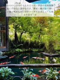🫧都会の喧騒を忘れたい人必見！秘密の美術館&カフェ in あきる野市🫧