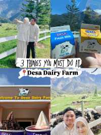 3 Things You Must Do at Desa Dairy Farm
