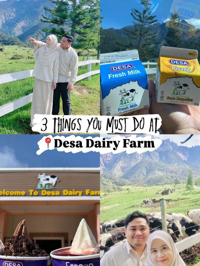 3 Things You Must Do at Desa Dairy Farm