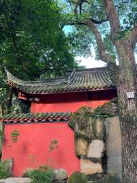 Wisdom in Stone: The Spirit of Shu Han at Wuhou Temple