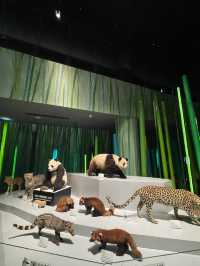 Chengdu Panda museum 🐼